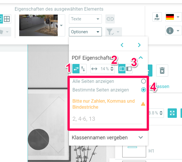 pdf_optionen.png
